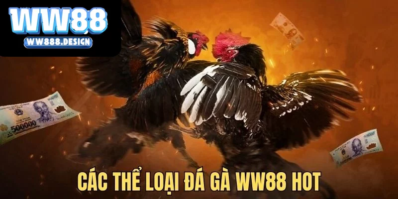 Nhiều thể loại cược đá gà WW88 thỏa sức trải nghiệm