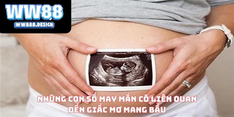 Những con số may mắn về giấc mơ mang bầu