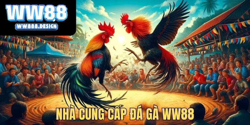 Nhà cung cấp uy tín tại đá gà WW88 trong mắt người chơi