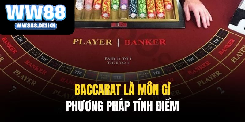 Phương pháp tính điểm dựa trên quy tắc chung của đa số bộ môn casino
